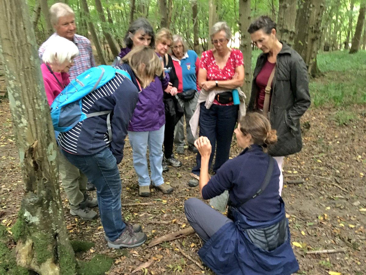 HighWealdNL's tweet photo. 3 walks tomorrow for the last day of the High Weald Walking Festival - explore @ryeharbour_NR, hike through #Wadhurst deer park or join us for a leisurely meander through #Mayfield: https://t.co/Ofk0dyUhDM #hwwf18 @RamblersGB #OutstandingWeek https://t.co/olRLPmgO2I