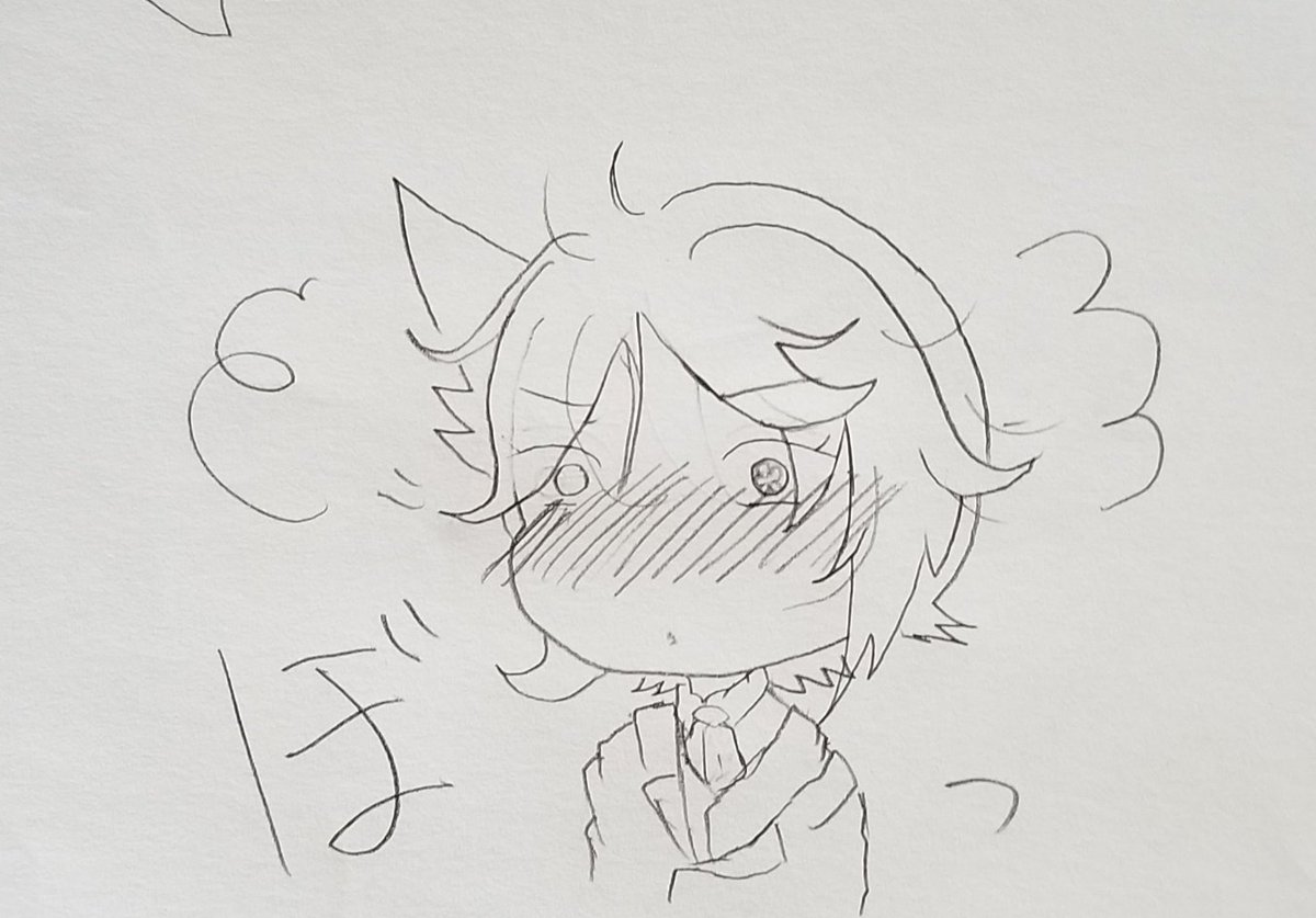 みずおうくん サークル募集 セイクリッド サーナイト シスコン 残念なイケメン 普段見せない左目は義眼で視力はない 四枚目メガシンカ