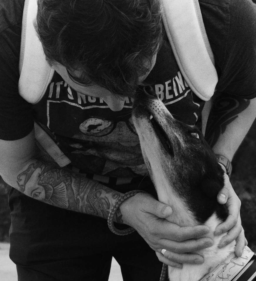 eco_storm's tweet photo. 3 years ago today. Daddies boy through and through. Not bad for a hound that was terrified of men #FoundAGoodOne https://t.co/aYJYXexlKM