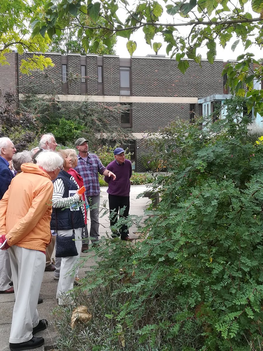 FitzwilliamColl's tweet photo. Saturday starting off with a garden tour from Steve, Fitz's Head Gardener! #AlumniFestival #Alumni #FitzwilliamColl https://t.co/U5lsRiDB23