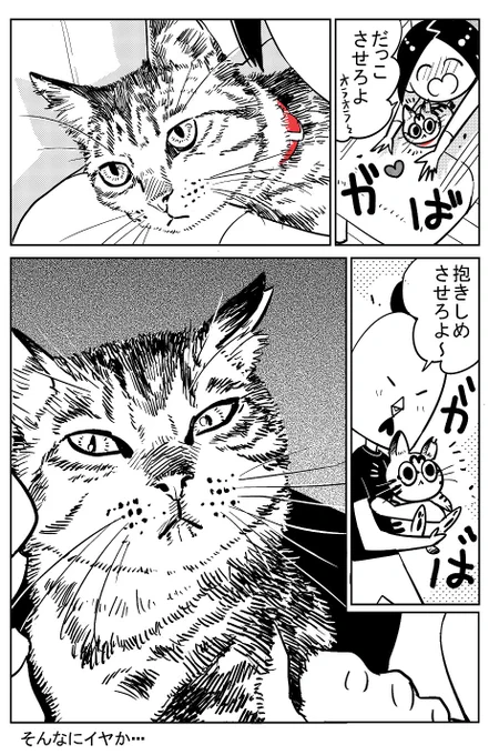 猫飼いました⑭ 