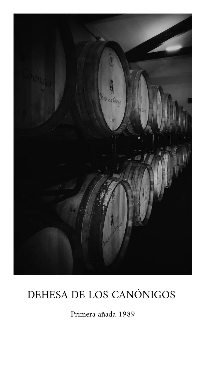 Visitando las bodegas de la Dehesa de los Canónigos #EspírituRibera #DORibera <a href="/DORibera/">Ribera Del Duero</a> <a href="/dehesacanonigos/">Dehesa Canónigos</a>