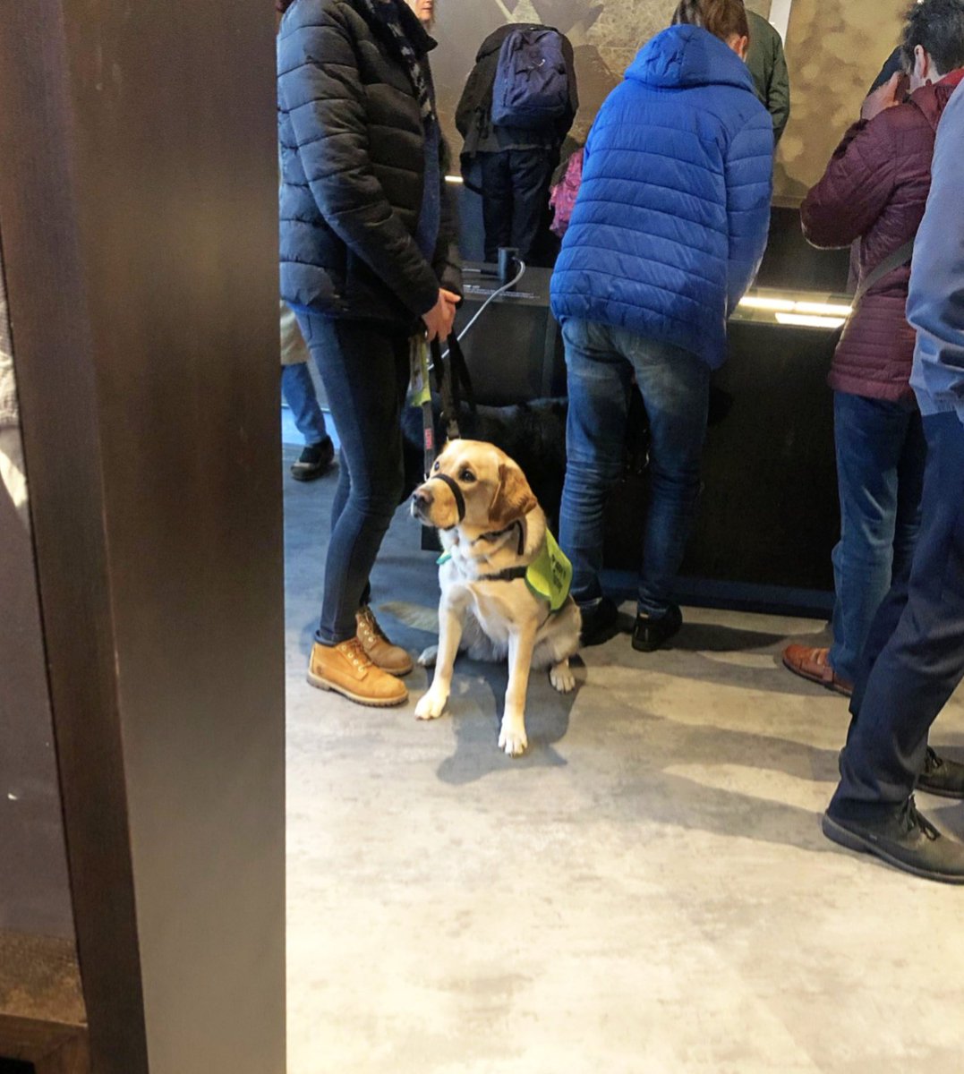 SeamusHeaneyNLI's tweet photo. We welcomed hundreds of visitors (dogs included!) to 'Seamus Heaney: Listen Now Again' for #CultureNight #OícheChultúir. Thank you so much to everyone who made it such a special evening and to @CultureNight for another incredible celebration of our culture and heritage. https://t.co/9iN5bp3ZTS