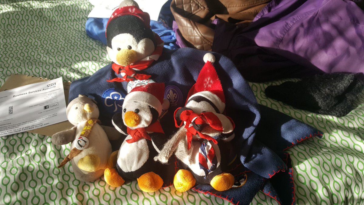 Today's Spotlight: Mascots! This is 4 of our 5 penguin mascots, Graham is unspeakable and special but the others have been known to be kidnapped and found making friends with other SSAGO clubs at national events! #uwefreshers #freshers18 #uweBristol #ssago #saguwe #scouts #guides