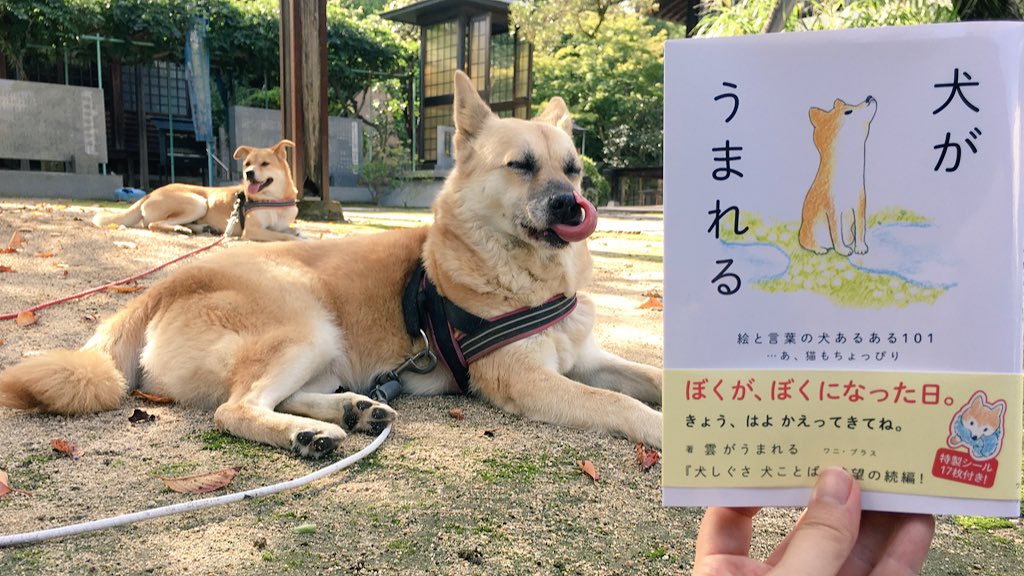 くもといっしょに