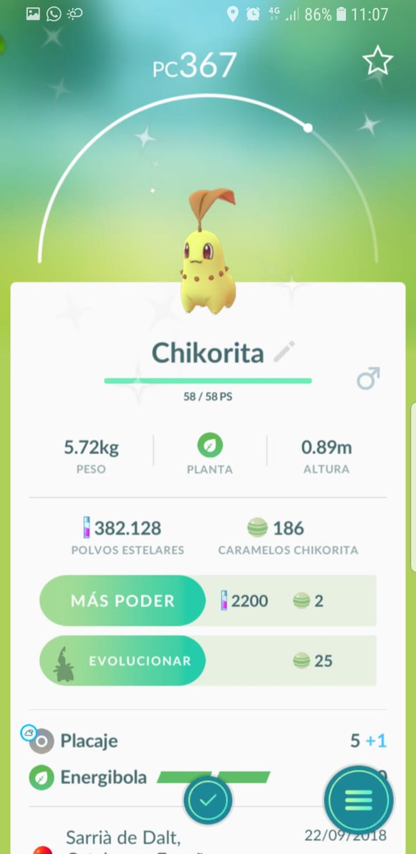 RangerA17's tweet image. Dia de chikorita shiny!! #ComunitydayPokemonGo