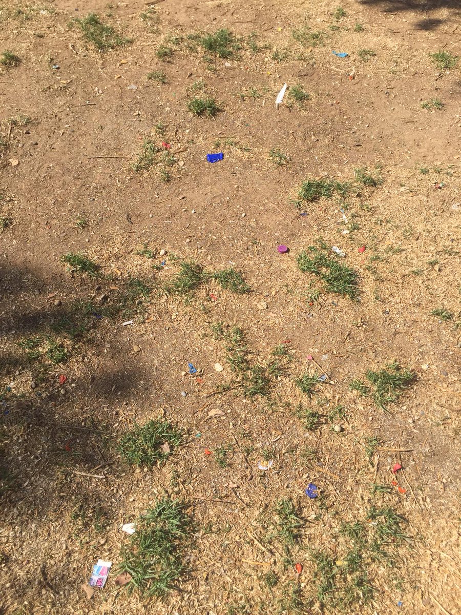 CatyLabera's tweet photo. Este es el lamentable estado enel que se encuentra el parque de "la Rosaleda" en Sevilla. Colillas, basura, restos de botellas de alcohol, columpios rotos o a punto de hacerlo, por no decir que toda la zona verde se ha dejado secar. Por una Sevilla limpia y verde. @culturasevilla https://t.co/0KNNP5S4AH