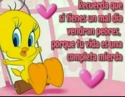 Para mis seguidores: