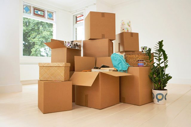 highstuffcom's tweet image. 7 Hacks That Make Moving Out Easier
highstuff.com/house-moving-h…
#HouseMovingHacks #MovingHacks #HouseMovingTips #HouseMoving
