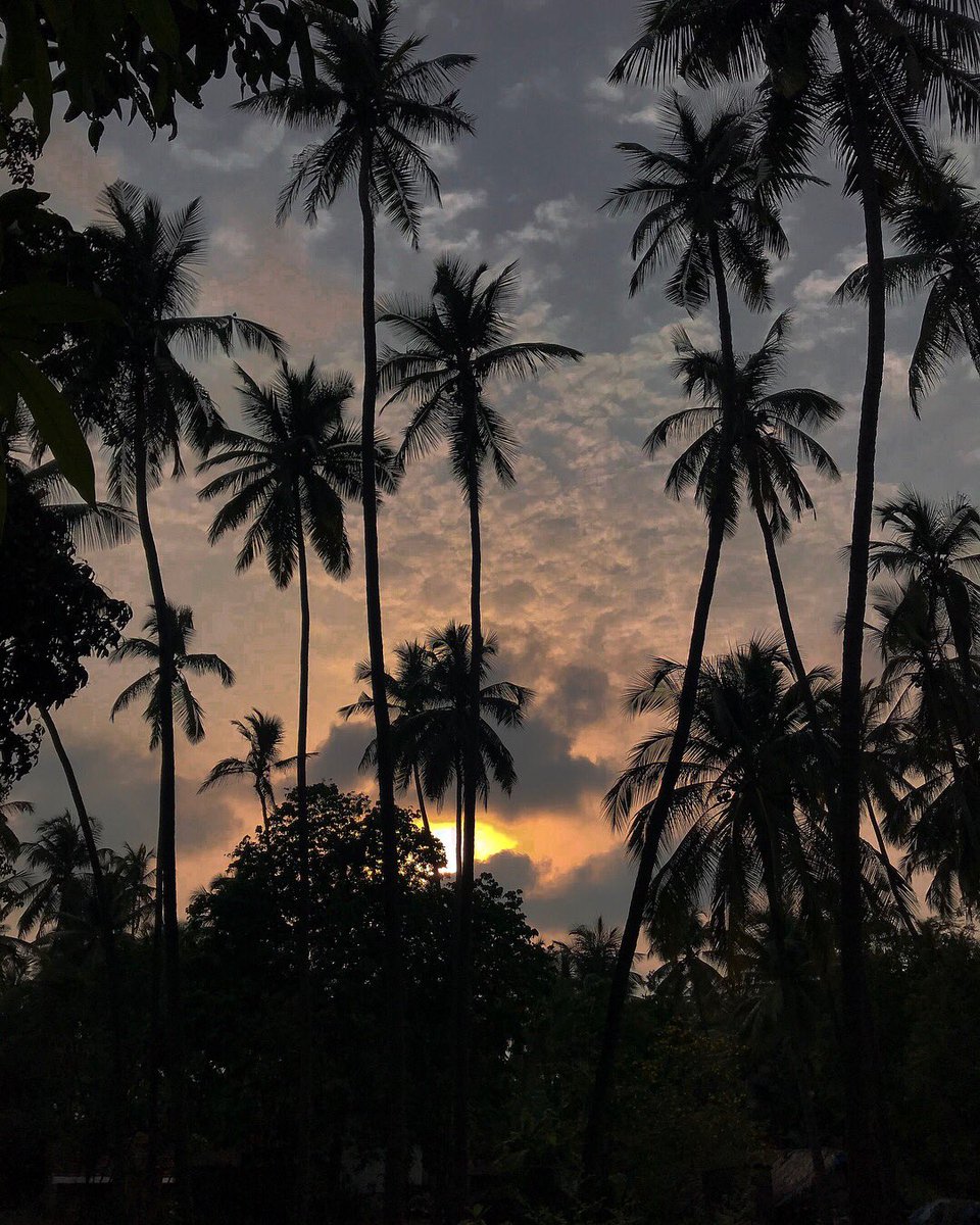 mikhailgomesTMJ's tweet photo. a better spent weekend 🌄 || #travelbloggers https://t.co/zCf0BjVv6G