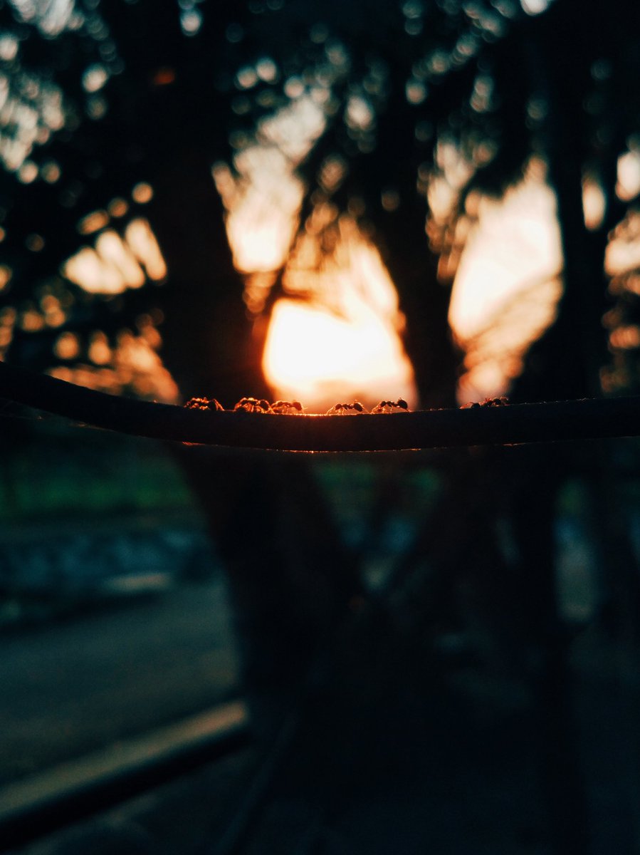 go2n's tweet image. Budhal malem minggon 🐜🐜🐜