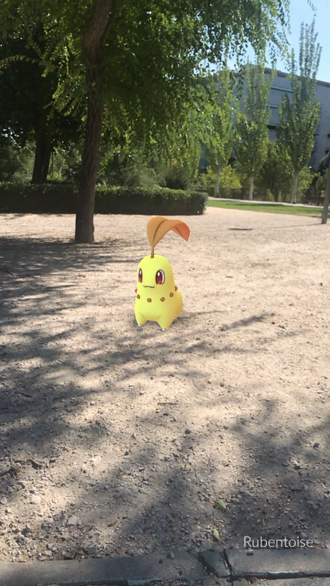 rubentoise's tweet photo. El Community Day deja 6 Shinys. Adoro estos días de la comunidad. #PokemonGO https://t.co/p2z551bB1Y