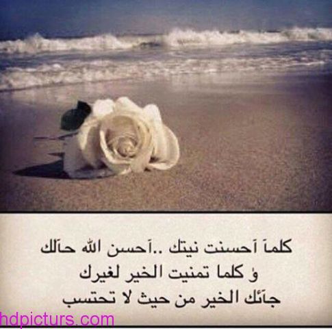 اشواق الوله (@startsbright) on Twitter photo 