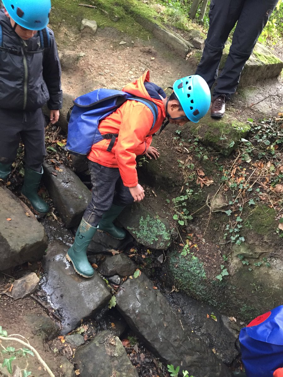AvenuePrimaryUK's tweet photo. Gully walking! #perfectpurples #Carlton2018 https://t.co/zdx7EZcOhj