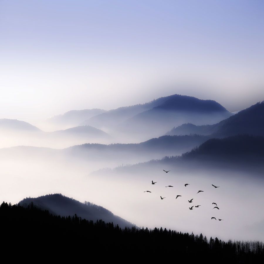 Flying over the Fog 
Philippe Sainte-Laudy