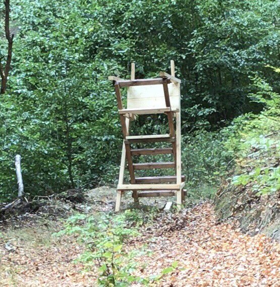 Mal wieder fleißig!
#revierarbeit es wurde eine Ansitzeinrichtung gebaut