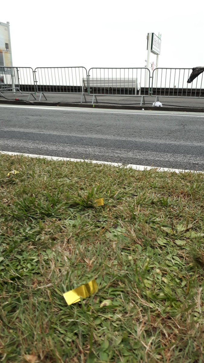 J'espère que la jeunesse dorée <a href="/audencia/">Audencia</a> saura collecter les milliers des confettis plastiques lancés par grand vent à 50m de l'océan #LaBaule Belle responsabilité environnementale !