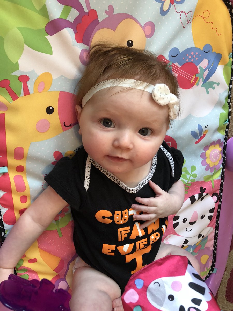 WhitBurksGood's tweet photo. My little orange family is ready to cheer on the Vols! #GoVols #GatorHater #CutestFanEver #BigOrangeBaby 🧡🏈 https://t.co/GvXK2RGMJh