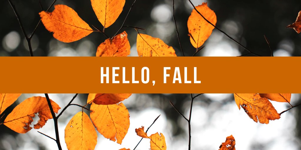 AltaProsperity's tweet photo. Today is officially the first day of Fall! Who is excited for sweater weather? 🍁 https://t.co/Nig044DqmQ