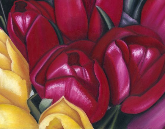 *Member Spotlight* 

Ailsa Victoria Miller creates vibrant #botanical original #pastel #drawings, #prints and #gifts inspired by the vivid colours of #nature.

Find out more - buff.ly/2wVs4fb