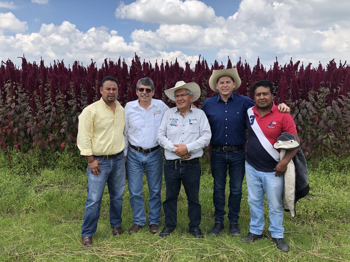 cap_edomex's tweet photo. En la jornada de “Capacitación y día demostrativo” de la #FPMEM.
#CAPEM
#UnidosPorElCampo https://t.co/vGGRrY63KP