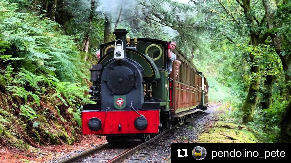 TalyllynRailway's tweet photo. Into the Woods.
π² #SeptemberSteam https://t.co/PpnJRPSzRc