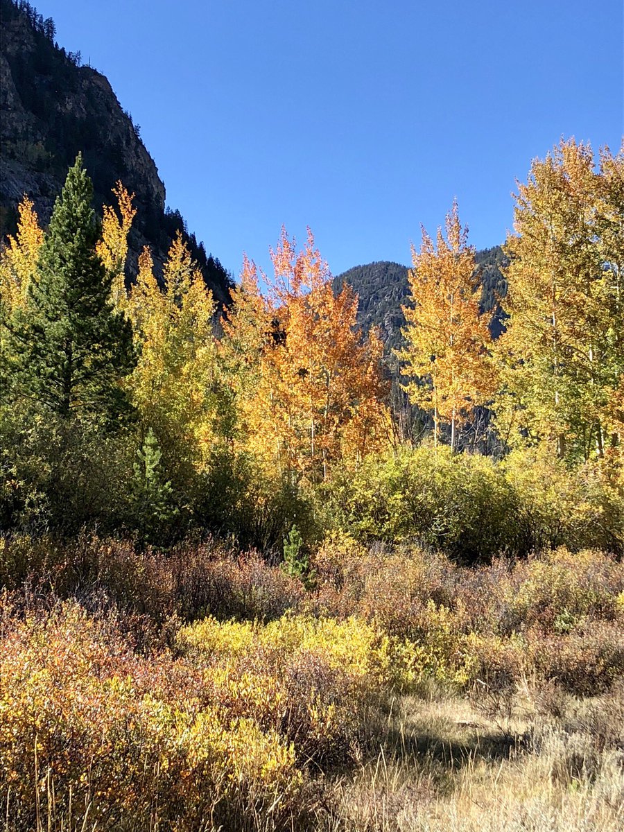 JoanneBednar's tweet photo. Good morning from Breckenridge!  Today’s agenda is Hoosier Pass, a hike to Blue Lakes, then Guanella Pass via Kenosha Pass!  #getoutside #highof70 #nohumidity #nobugs https://t.co/Fg49hRQwtp
