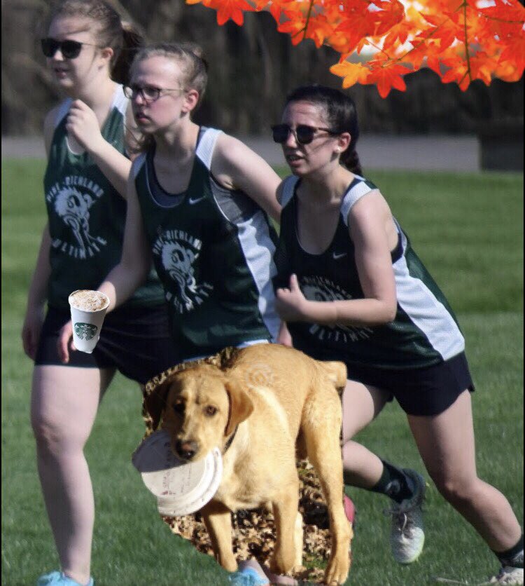 PR Girls Ultimate tweet media