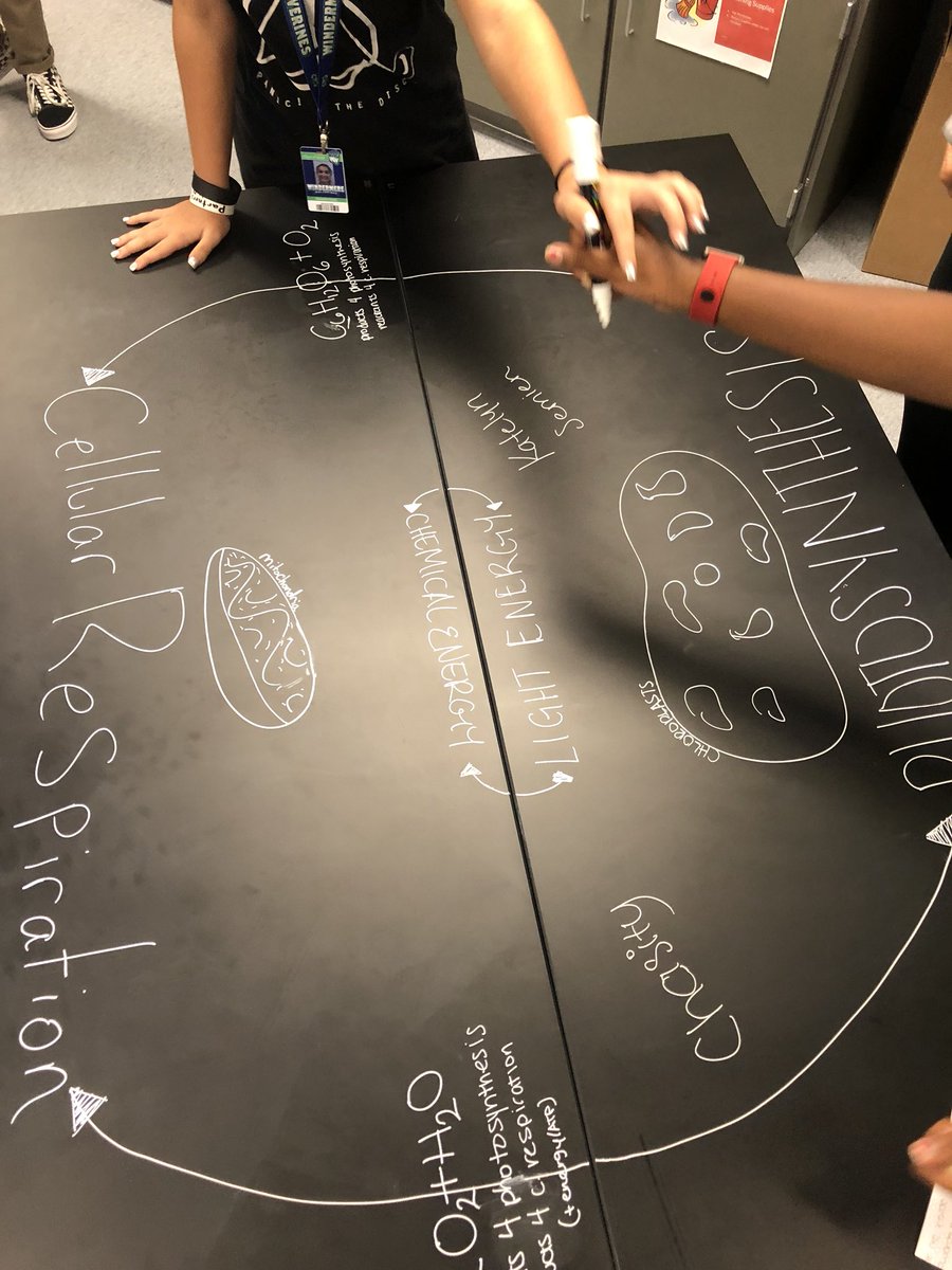 Struckhoff_J's tweet image. Today in bio we completed a formative assessment with a little table top twittter! I love seeing my students lay out their thoughts and express their understanding in their own unique ways! #ocpsstem #ocpsscience