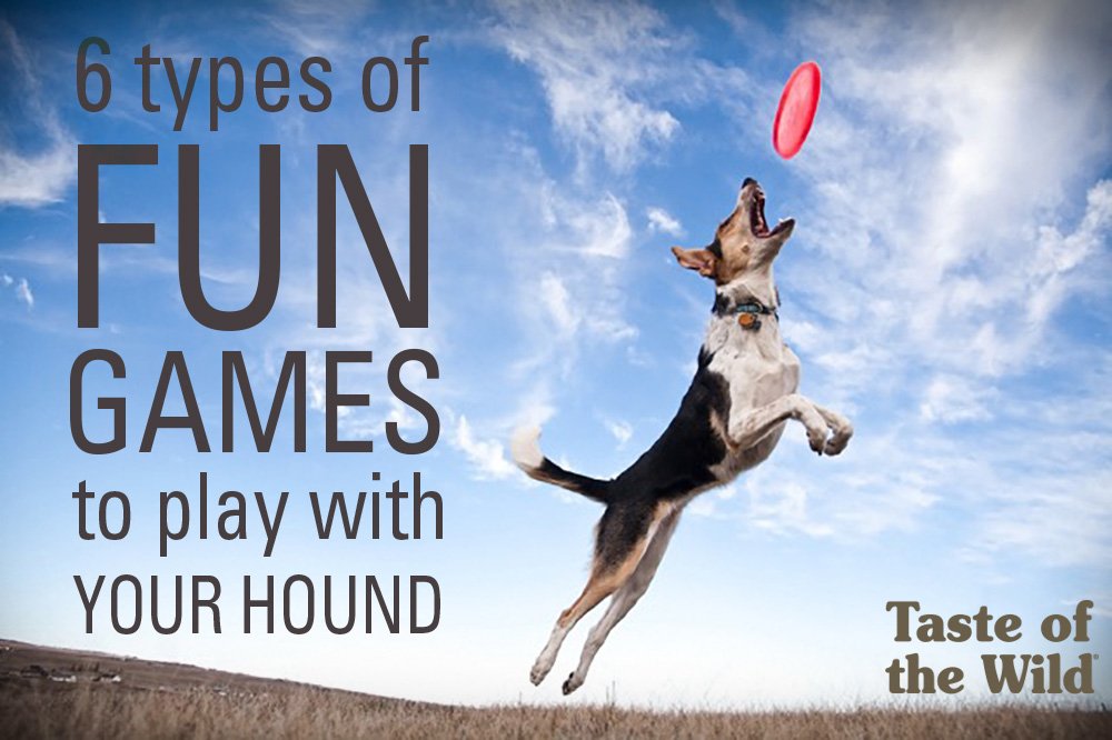 totwpetfood's tweet photo. To maintain overall #health, adult #dogs need at least 30 minutes of #exercise every day. πΆπΎ How can you keep playtime fun and exciting? Check out these 6 #games: https://t.co/ZJ09VMVBkb #petexcercise #outdoors #pets https://t.co/Tmt6Fljlxn