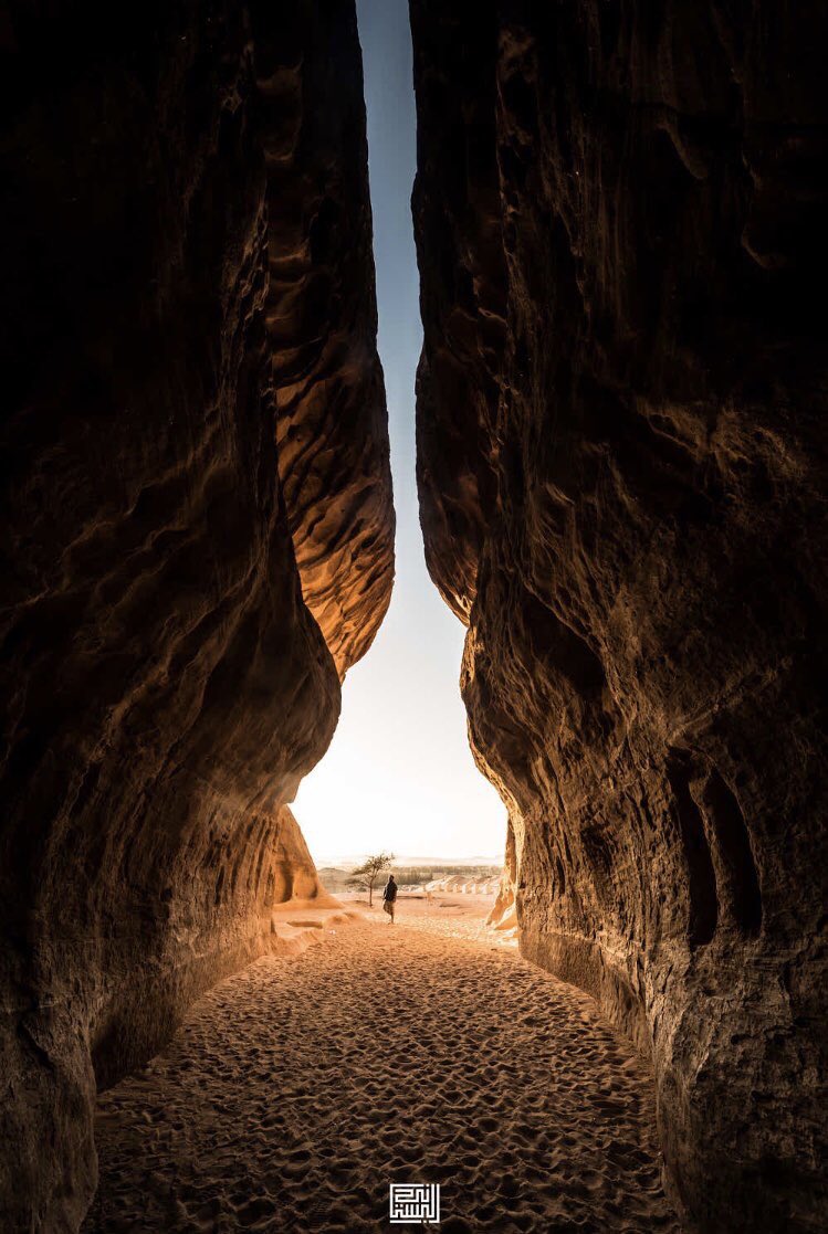 تغذية بصرية 🌎 tweet media