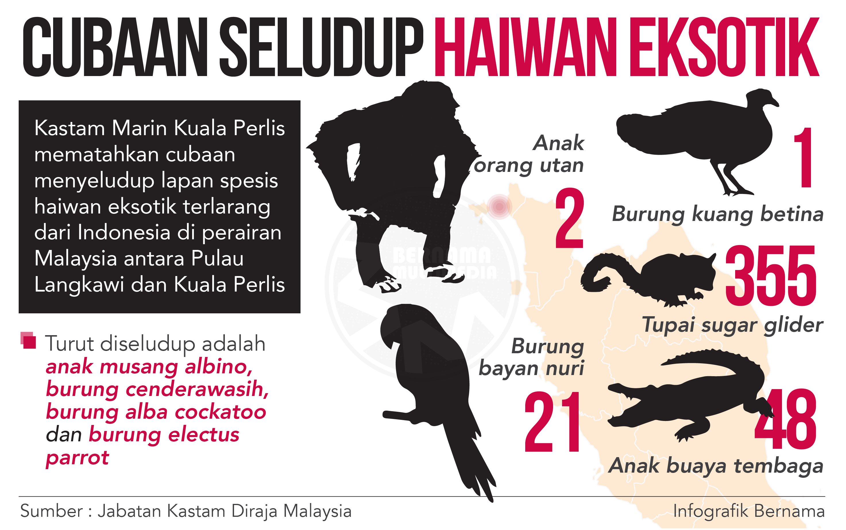 Bernama Na Tviteru Infografik Cubaan Seludup Haiwan Eksotik Dipatahkan Https T Co Bdstkfvnfy Https T Co D9l9xbs3dt Tviter