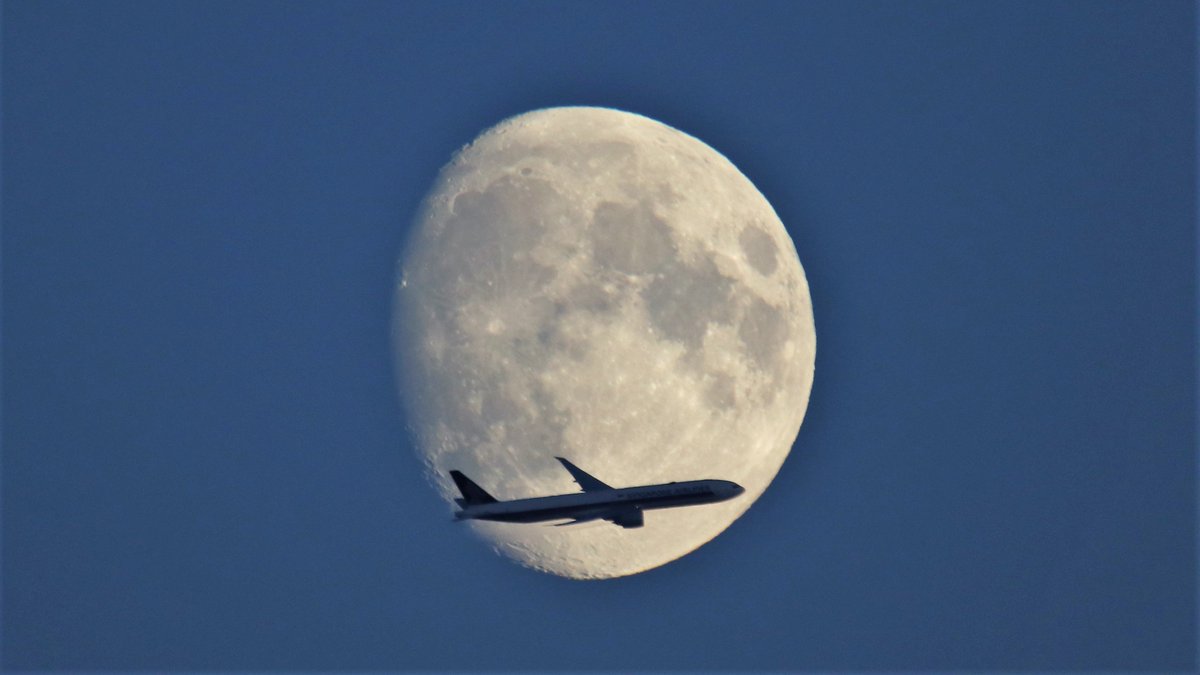 Tsoosh's tweet photo. Thank you @SAirlines for posing so nicely for my half decent #MoonPlane #photo taken last night over #London, #UK. My best #MoonPlaneShot so far. https://t.co/YOVMSPKkEr
