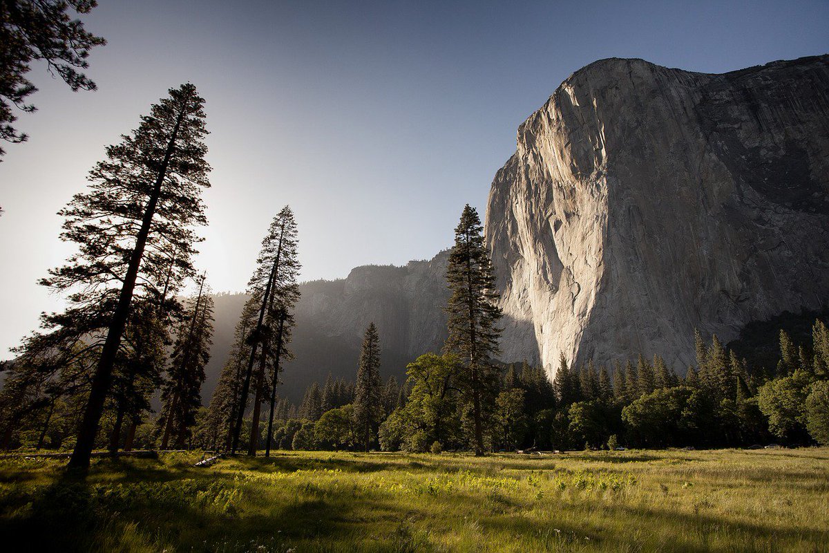 AmericanForests's tweet photo. Happy National Public Lands Day! Our national parks, forests and lands are one of the greatest ways we can connect with nature in the US. Find out how you can get involved through visiting public lands, volunteering and more: https://t.co/9iEeQPFrCV #RecSpotlight #NPLD https://t.co/ht2OlwQ9BB