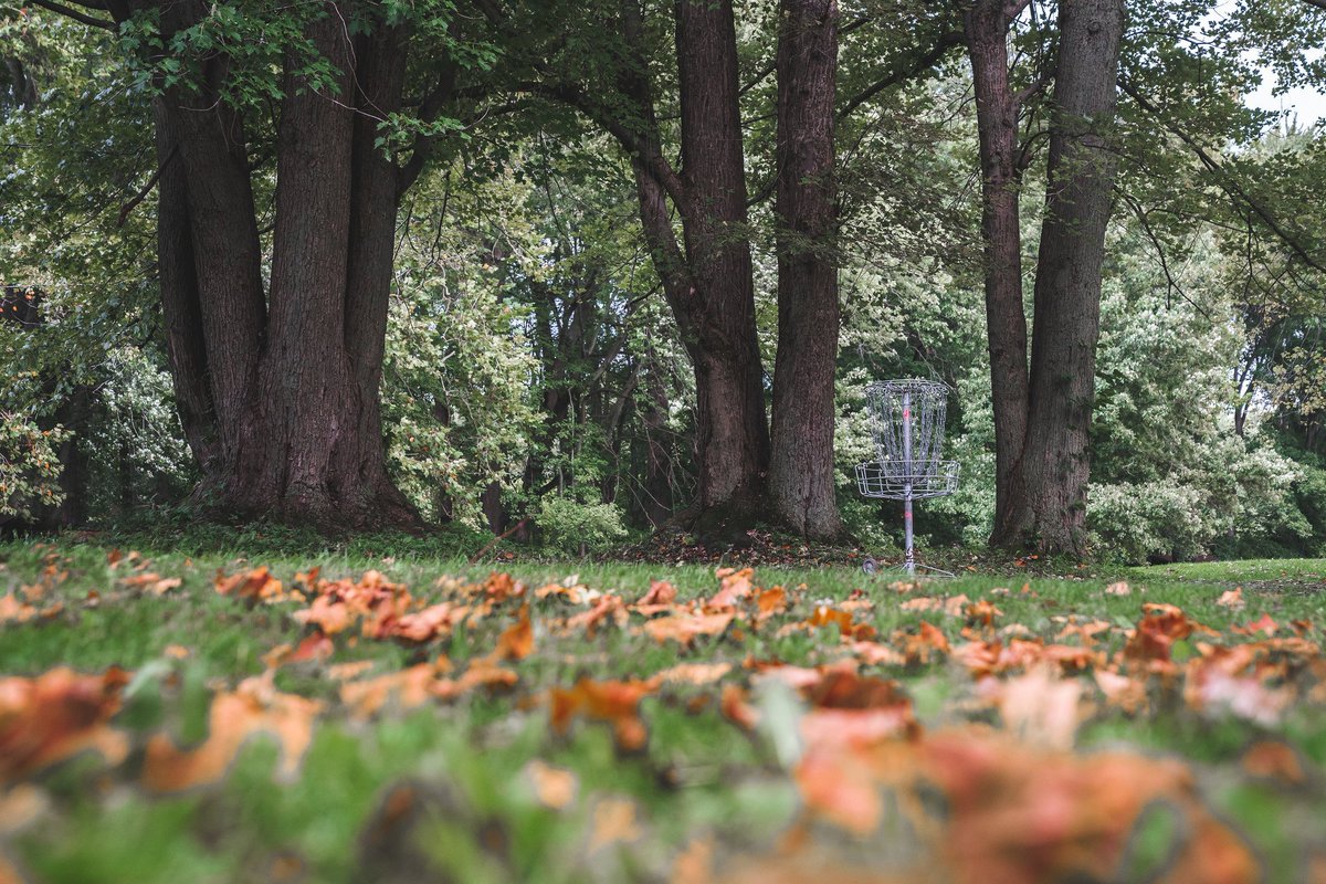 AV_Images's tweet image. Woke up to a brisk, fall morning in Michigan!

Happy first day of fall! #2018USWDGC