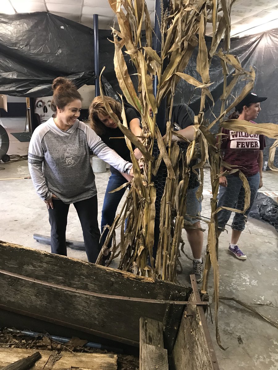 LRProjectGrad19 tweet media