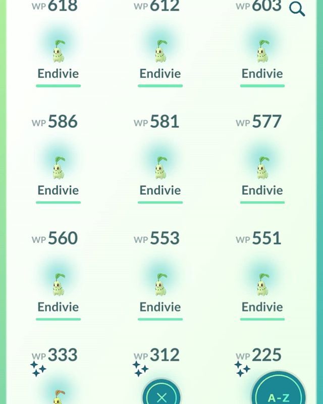 Shadowelf's tweet photo. Beim heutigen #Communityday habe ich ein paar Endivie-Pokemon gesammelt. Sogar drei Shiny, wenn auch nicht die stärksten #PokemonGo #Pokemon #Shiny #GeekStuff #Nerdstuff #Geeklife #Nerdlife #SendHello https://t.co/EsoEiVqudy https://t.co/IardmjZ2P3