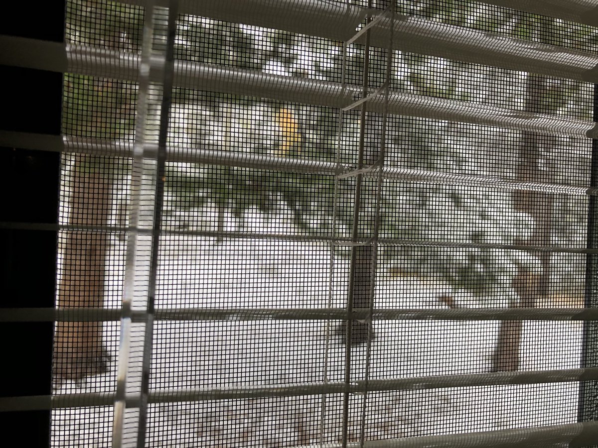 Denise13F's tweet photo. And so this is what we woke up to here in Banff. Our 5k race is today and it’s going to be cold. #melissasroadrace #SeptemberToRemember
#SeptemberCare
#Snow #FirstDayOfFall 🇨🇦 https://t.co/P2DNkUWeMO