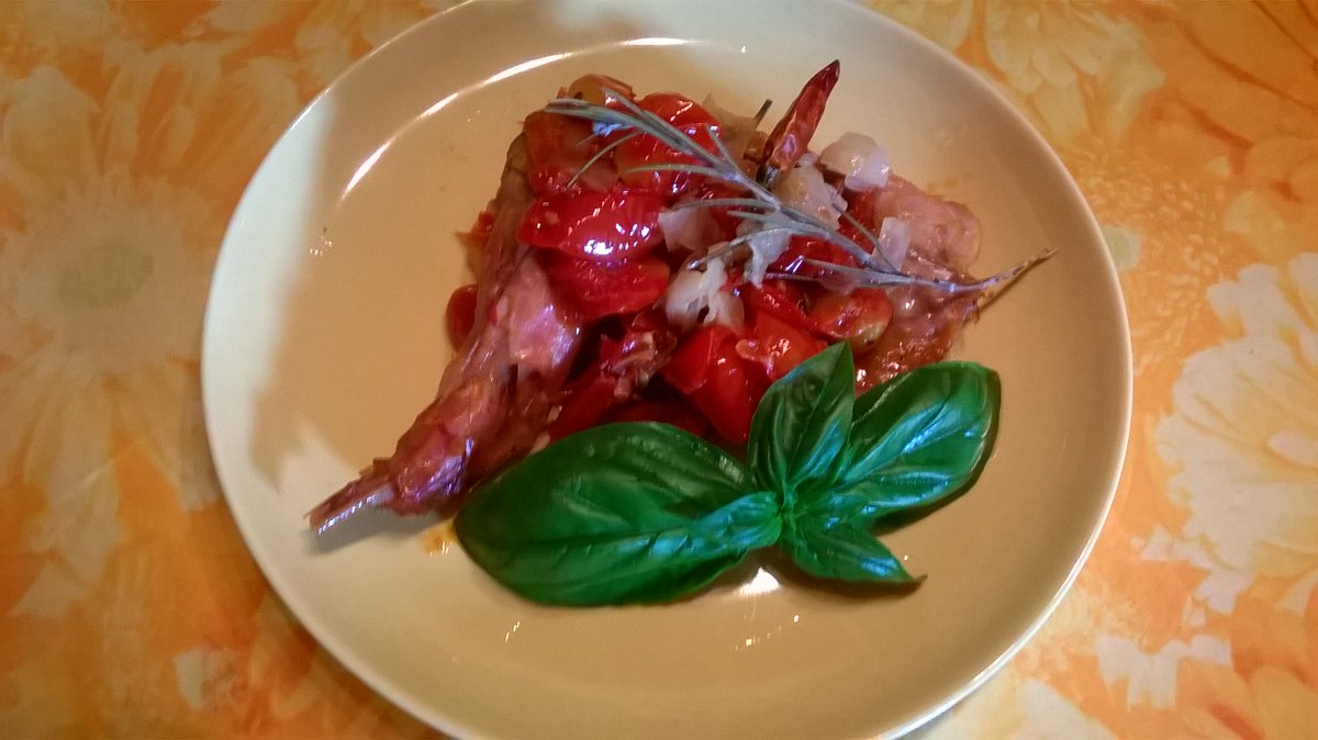 rugiada71's tweet image. Habemus #cacciatora