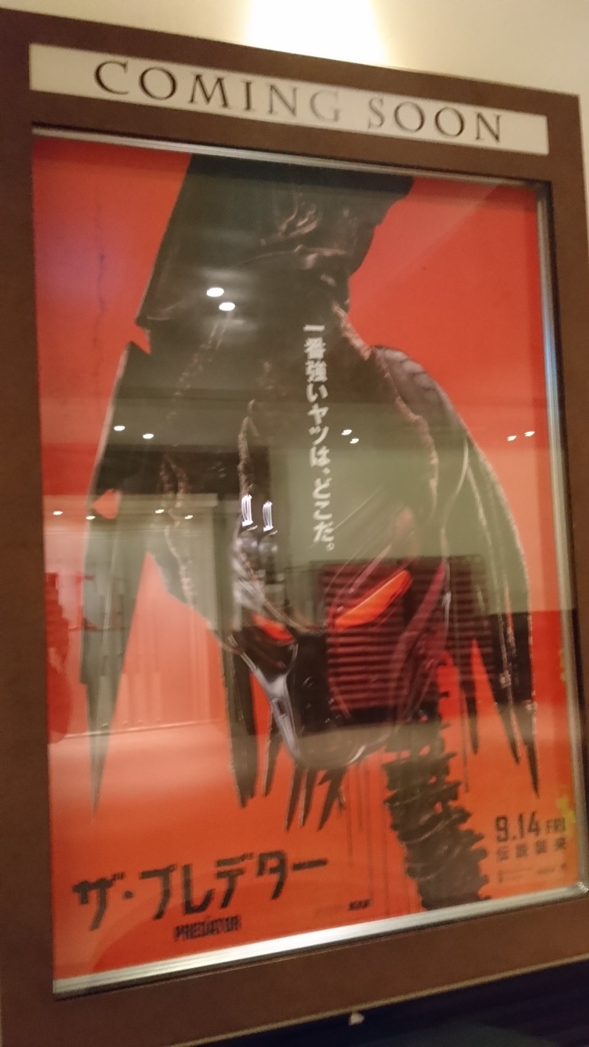 一郎 على تويتر ザ プレデター Tohoシネマズ流山おおたかの森にて観てきました プレデター プレデター2 の続編か ローレンス A ゴードン小学校 製作者 とか ジェイク ビジー プレデター2 のゲイリー ビジーの息子 とかの小ネタが 進化した 一郎 على تويتر ザ プレデター Tohoシネマズ流山おおたかの森にて観てきました プレデター プレデター2 の続編か ローレンス A ゴードン小学校 製作者 とか ジェイク ビジー プレデター2 のゲイリー ビジーの息子 とかの小ネタが 進化した