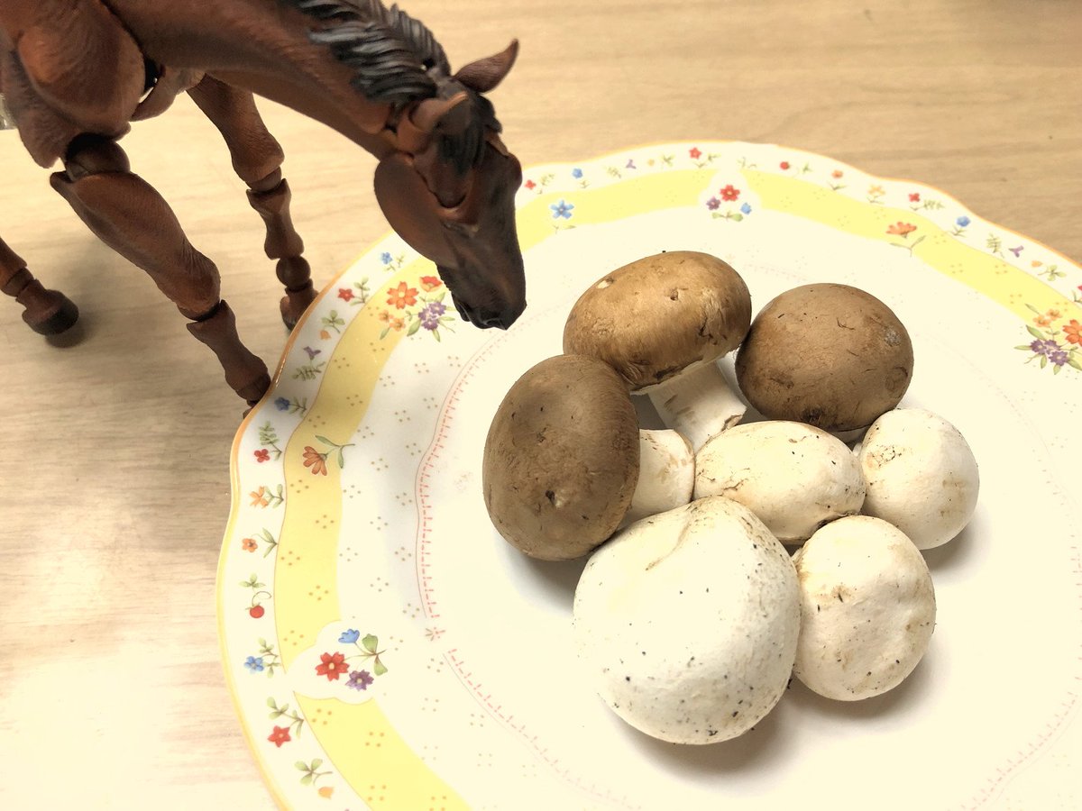 馬糞堆肥 馬糞堆肥