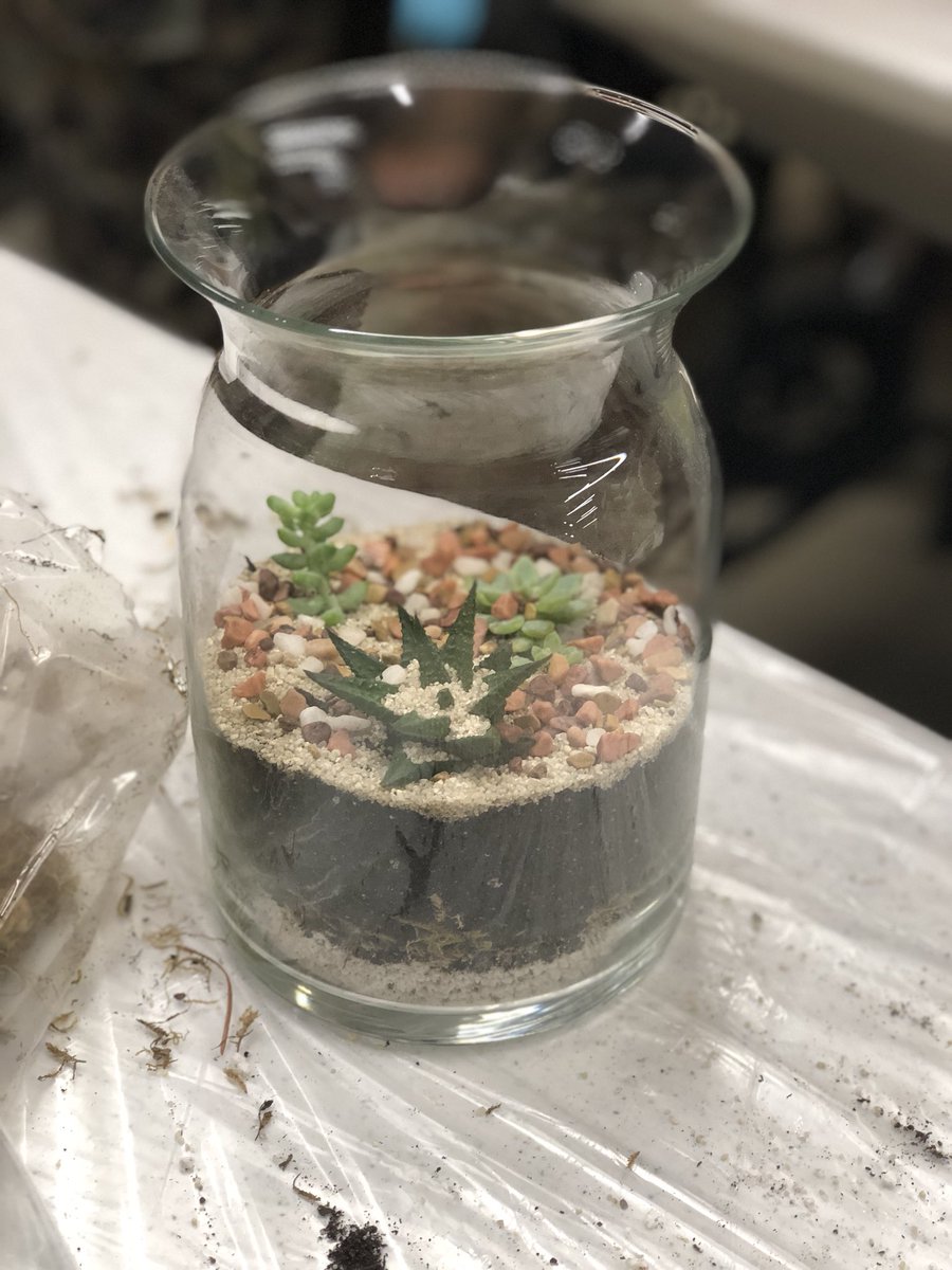 esthephanie__'s tweet photo. Helping our community create with our DIY workshops is just as much fun as you would expect! 🌵🌱😁 #lowesDIY #lowesupperwestside https://t.co/hHC0QgsUc2