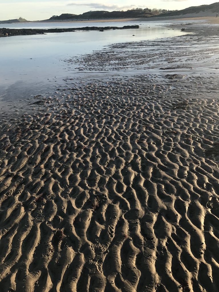 Newton Barns Holiday Cottages Newtonbarns Twitter