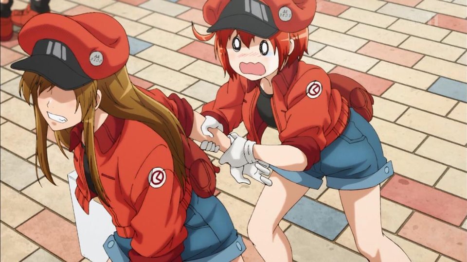 はたらく細胞 第12話 感想 微笑ましい新人教育からの生命に関わる大ピンチ