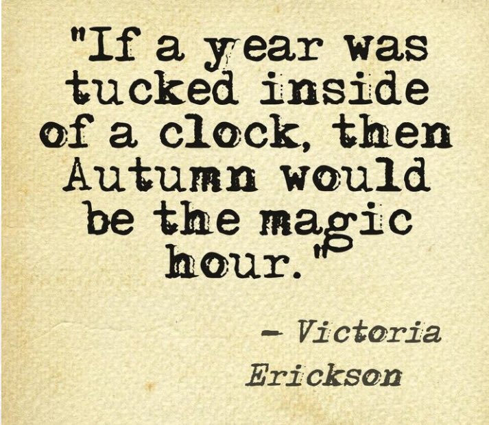 MerMagz's tweet image. #basicAF 🍂😍🍁💙