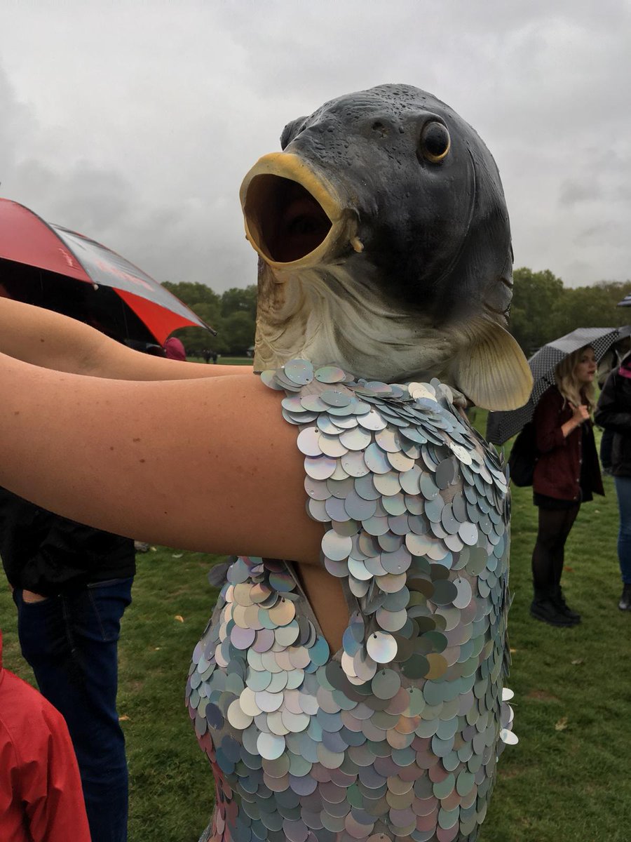 patrick_barkham's tweet photo. Some Barkham wildlife #PeoplesWalkforWildlife https://t.co/kvPhZCwH1m