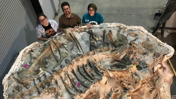 authorshipme's tweet photo. Dr. Venkman: I'd really like to talk to Dana. Dana? It's Peter.
Dana: [in a deep voice] There is no Dana, there is only Zuul.
#Ghostbusters 

#dino #hellhund [CBC News] Watch experts uncover Zuul, the new dinosaur going on display at the ROM in December https://t.co/SEC6PYThCR https://t.co/2HDN8ot7jx