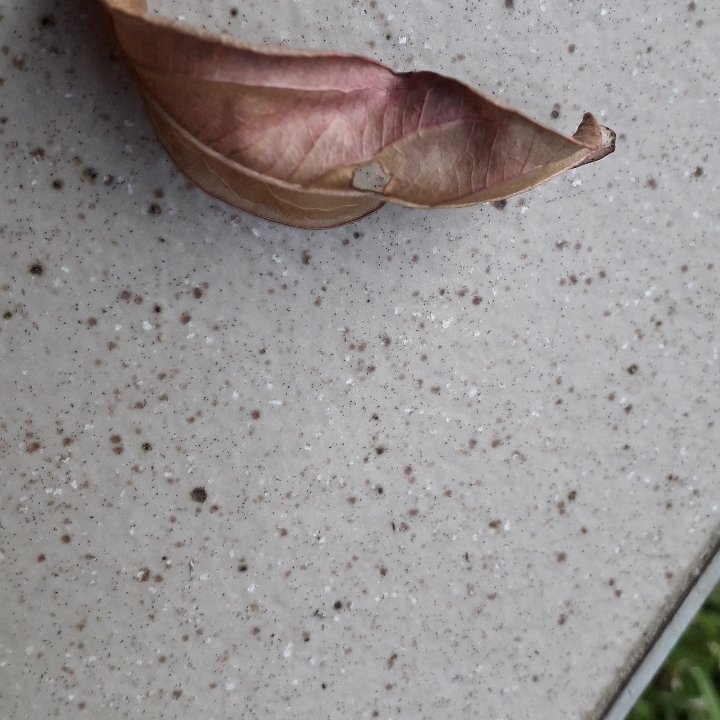 Perkolate tweet media