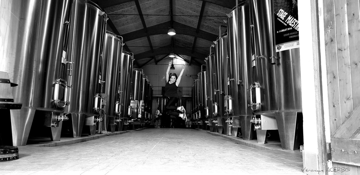 rvrence's tweet photo. Un matin heureux au château Saint-Sernin #FestiVendanges à #Parnac #happy #wine 

#LotVignoble #FêtedelaGastronomie #Oenotourisme #Gastronomie #fggf2018 https://t.co/pfJ13K53nV