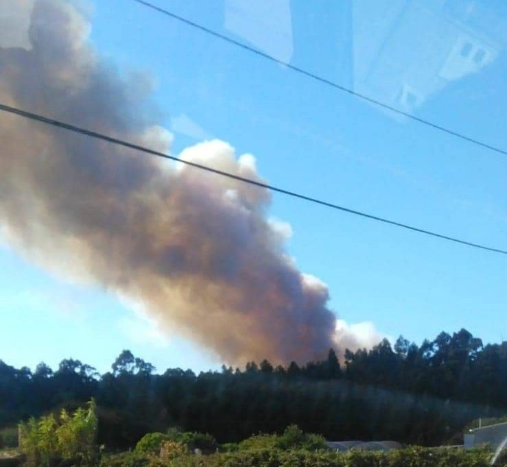 APRAFOGA's tweet image. Diga o q diga @xunta somos uns profesionais,se non a 1'3 €/h quen se pon a dirixir a extinción destes monstruos.Neste intres #AxentesAmbientais cun acordo caducado desde fai + de 10 anos dirixen e coordinan a extinción deste #IIFF en #PortodoSon #ACoruña #FolgaConSentidiño